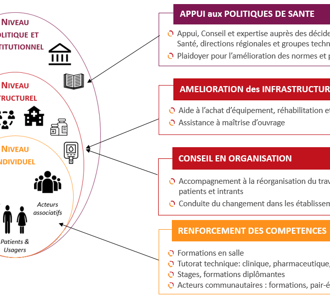 o Conduite de plaidoyer o Formation et Renforcement de capacités o Conception et Gestion de projets